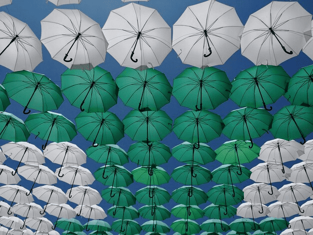 Umbrella-1
