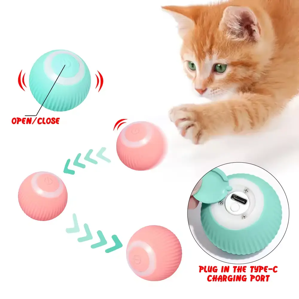 pet toy
