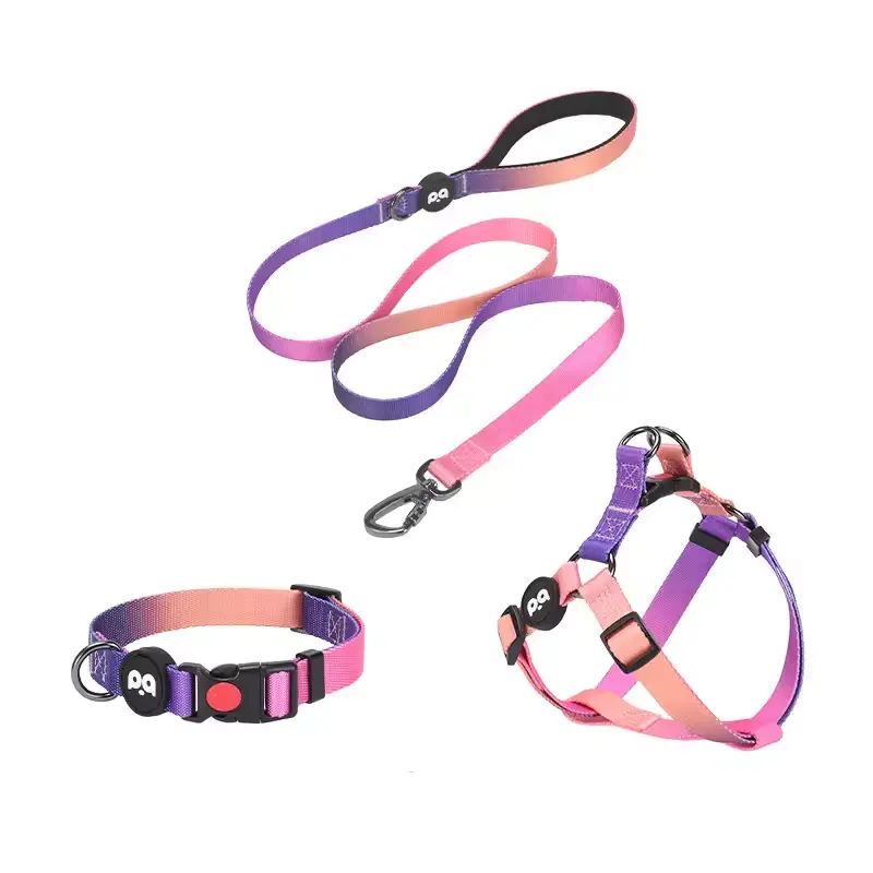 Leashes & Collars